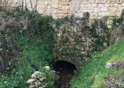 Le canal de fuite du moulin de la Porte
