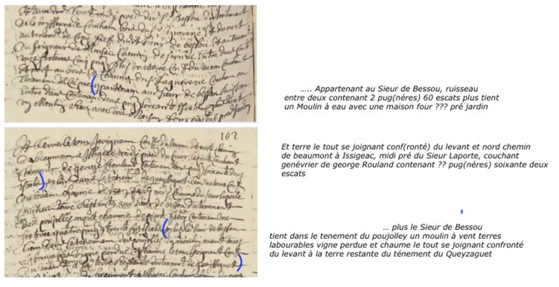 extrait_terrier0SJ_1700_Jpeg