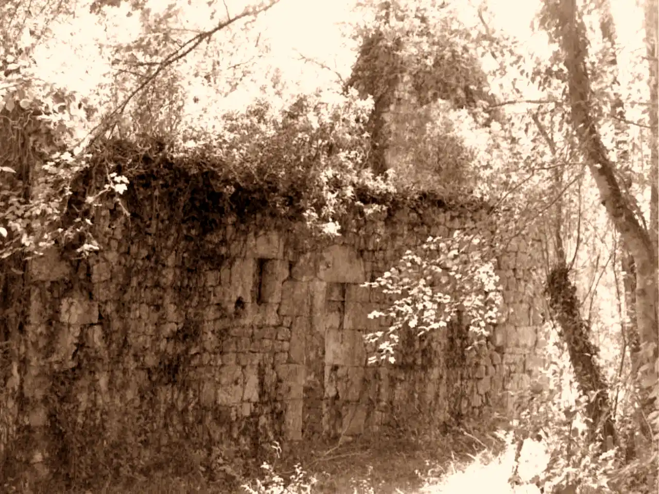 moulindelaporte_sudouest_avant