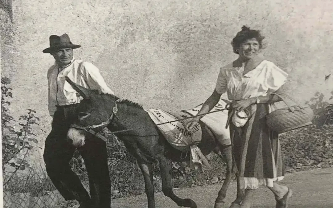 Les familles de meuniers du Moulin de la Porte et autres moulins